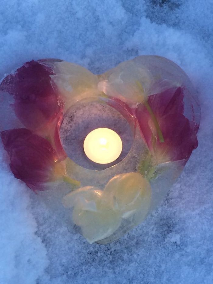 Man kan frysa in vilken blomma som helst, men tulpaner blir så vackra