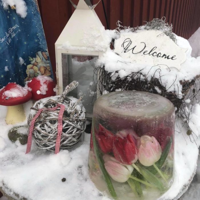 För att blommorna ska hålla längre fryser man in de.