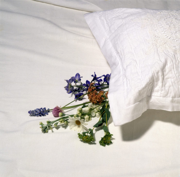 Sju blommor under kudden på midsommar